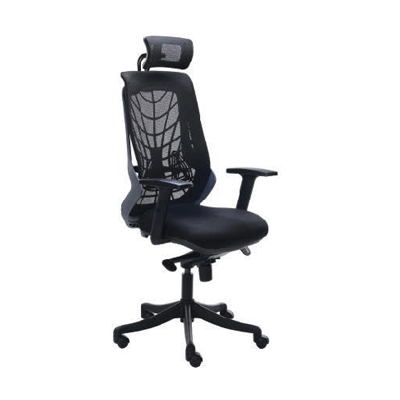 Spider 1